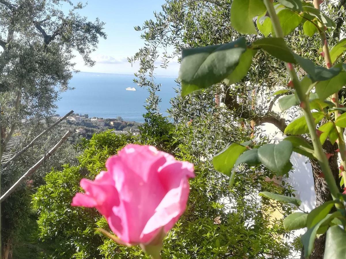 Casa Vacanza l'Ulivo Villa Península Sorrentina Exterior foto