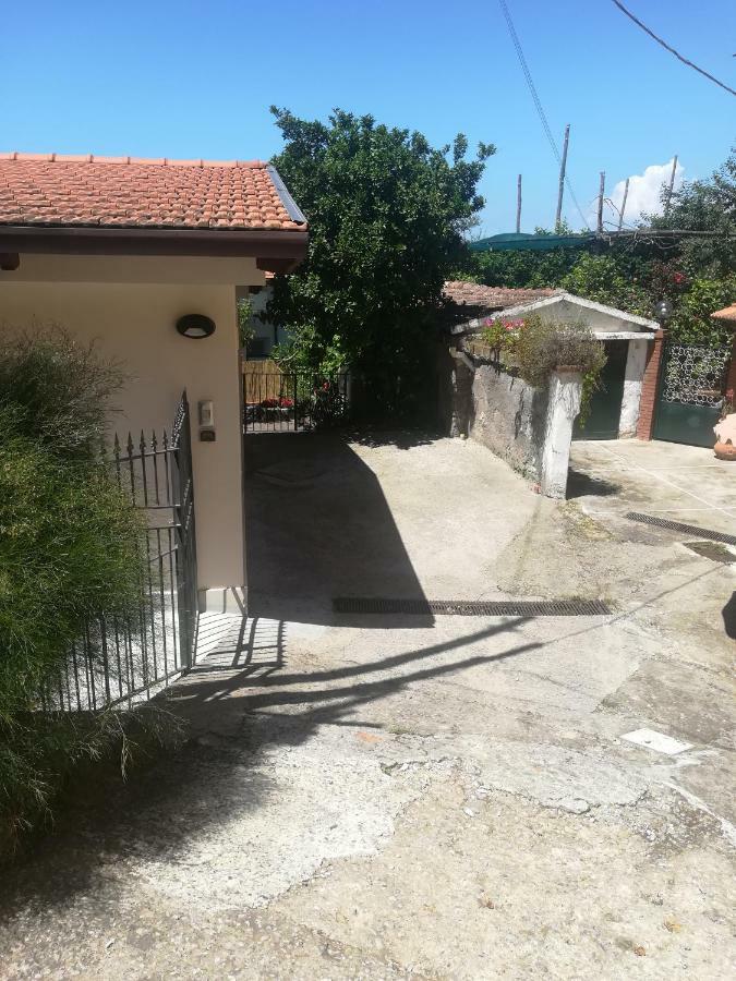 Casa Vacanza l'Ulivo Villa Península Sorrentina Exterior foto