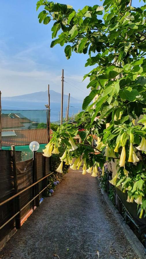 Casa Vacanza l'Ulivo Villa Península Sorrentina Exterior foto